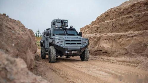 加拿大霸道apc輪式裝甲運(yùn)兵車(chē)