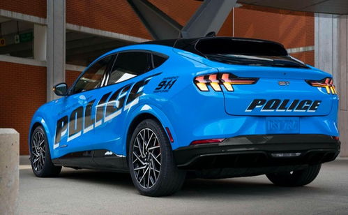 雙電機(jī) 四驅(qū),零百加速僅5秒,肌肉線條 警車(chē)造型,真霸氣 汽車(chē) 網(wǎng)